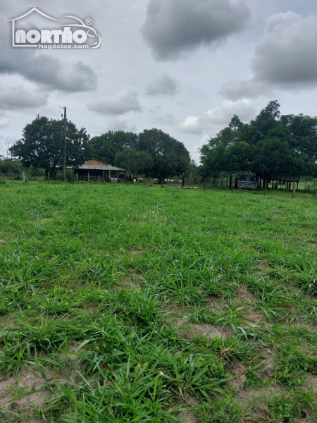 CHÁCARA a venda no NOVA BANDEIRANTES em Sinop/MT