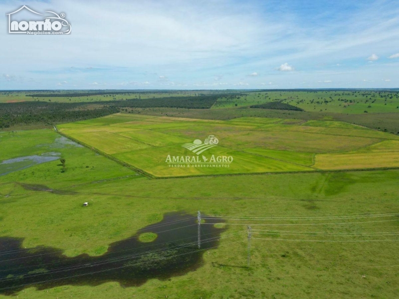 FAZENDA a venda no - em Campo Grande/MS