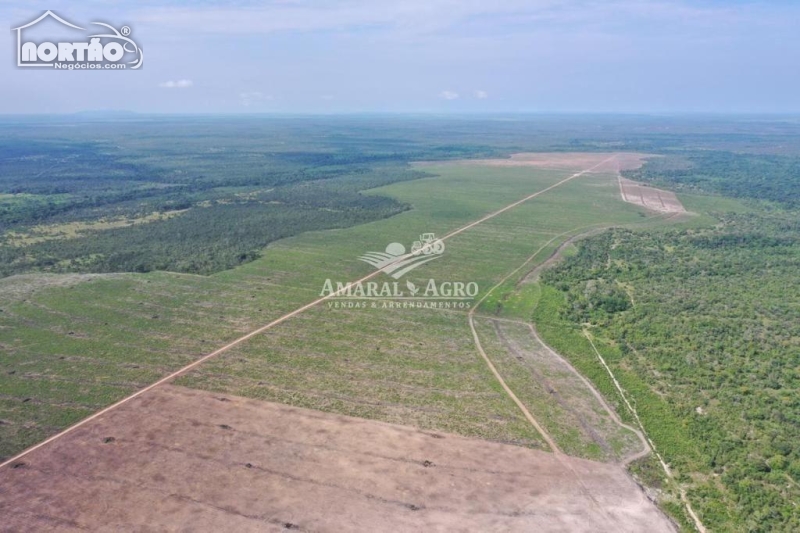 FAZENDA a venda no - em Riachão/MA