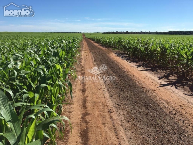 FAZENDA a venda no - em Riachão/MA