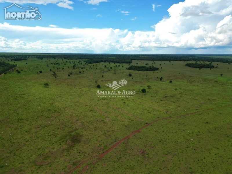 FAZENDA para locação no - em Nova Alvorada do Sul/MS