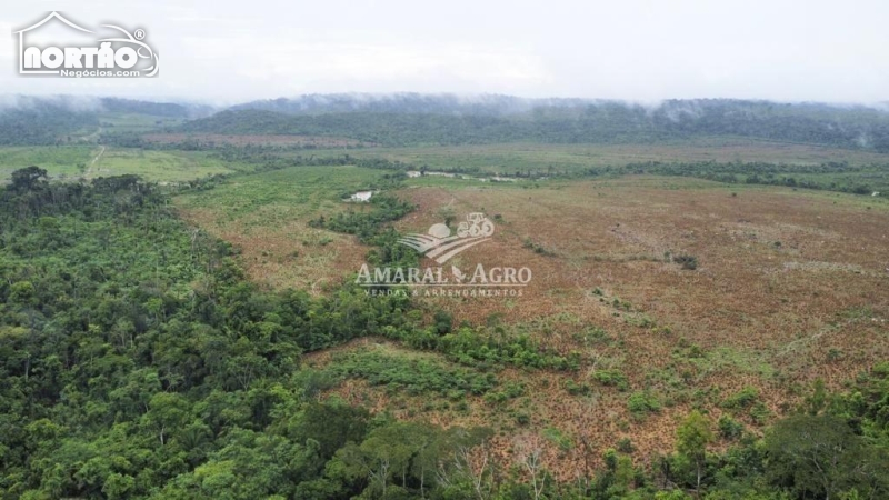 FAZENDA A VENDA NO - EM ALTA FLORESTA/MT