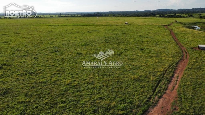 FAZENDA A VENDA NO - EM COLÍDER/MT