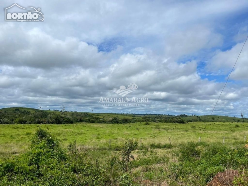 FAZENDA a venda no - em Altamira/PA