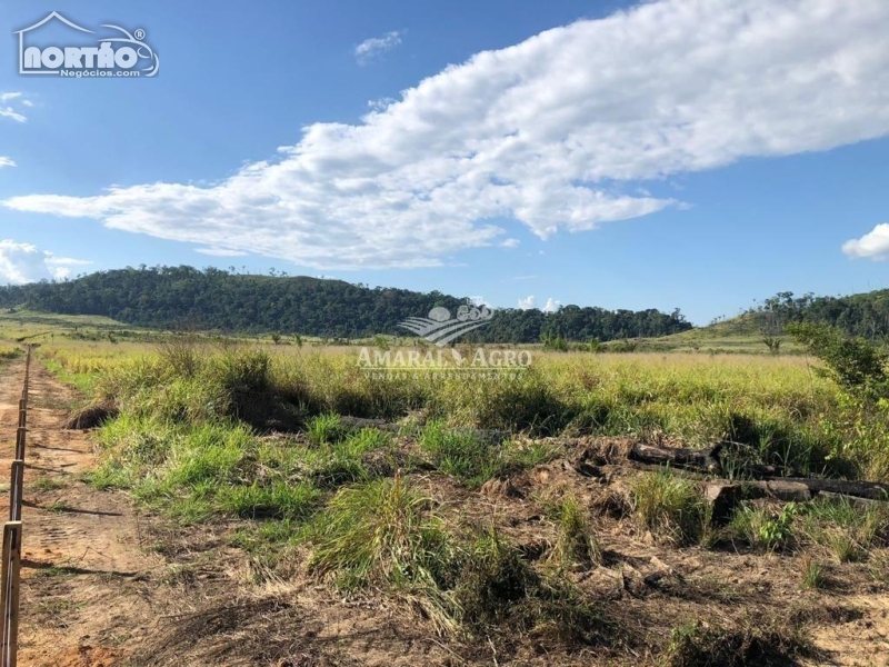 FAZENDA a venda no - em Altamira/PA