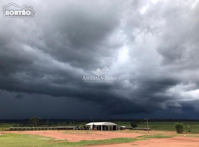 FAZENDA a venda no - em Altamira/PA