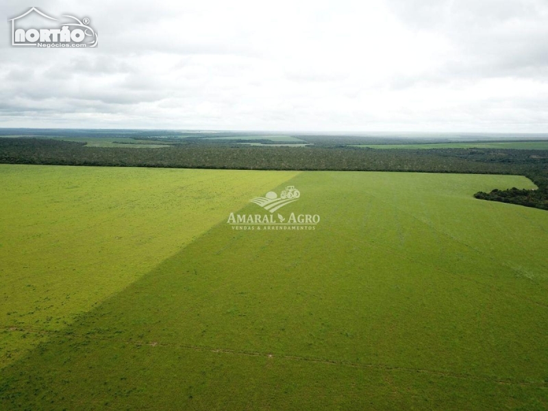 FAZENDA para locação no - em Ribeirão Cascalheira/MT