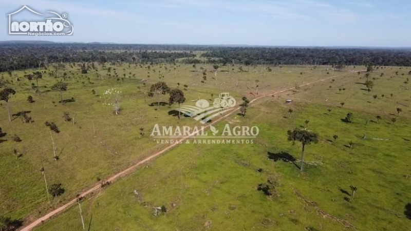 FAZENDA para locação no - em Nova Monte Verde/MT