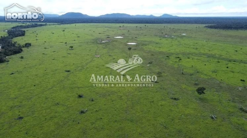 FAZENDA A VENDA NO - EM SÃO MIGUEL DO GUAPORÉ/RO