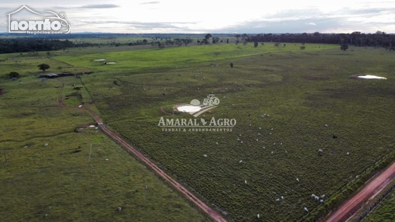 FAZENDA A VENDA NO - EM SÃO MIGUEL DO GUAPORÉ/RO