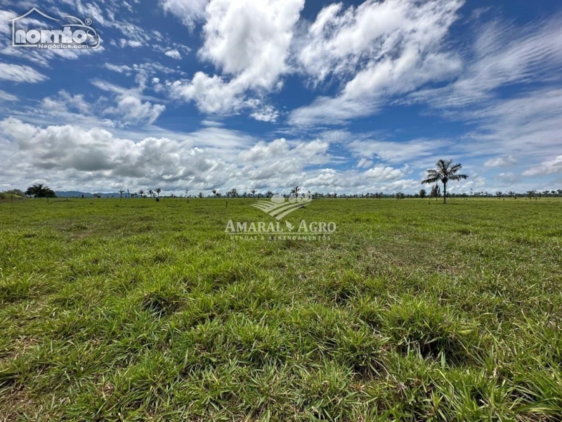 FAZENDA A VENDA NO - EM SÃO MIGUEL DO GUAPORÉ/RO