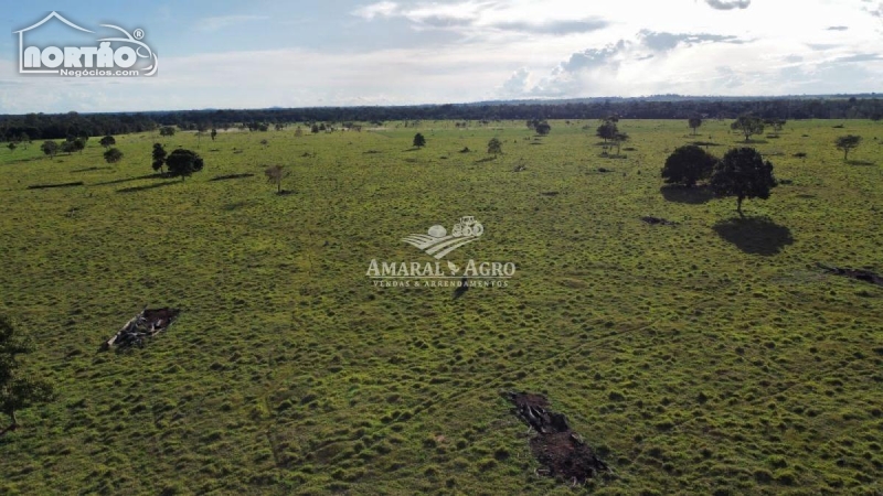 FAZENDA A VENDA NO - EM SÃO MIGUEL DO GUAPORÉ/RO