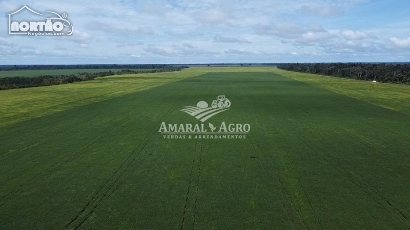 FAZENDA a venda no - em Cerejeiras/RO