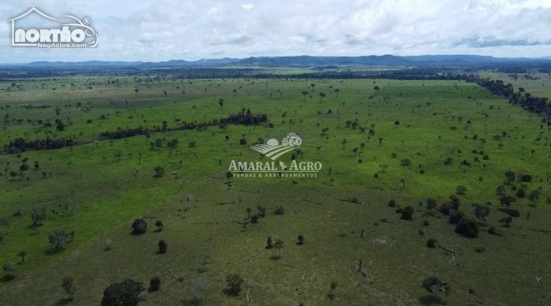 FAZENDA para locação no - em São Miguel do Guaporé/RO