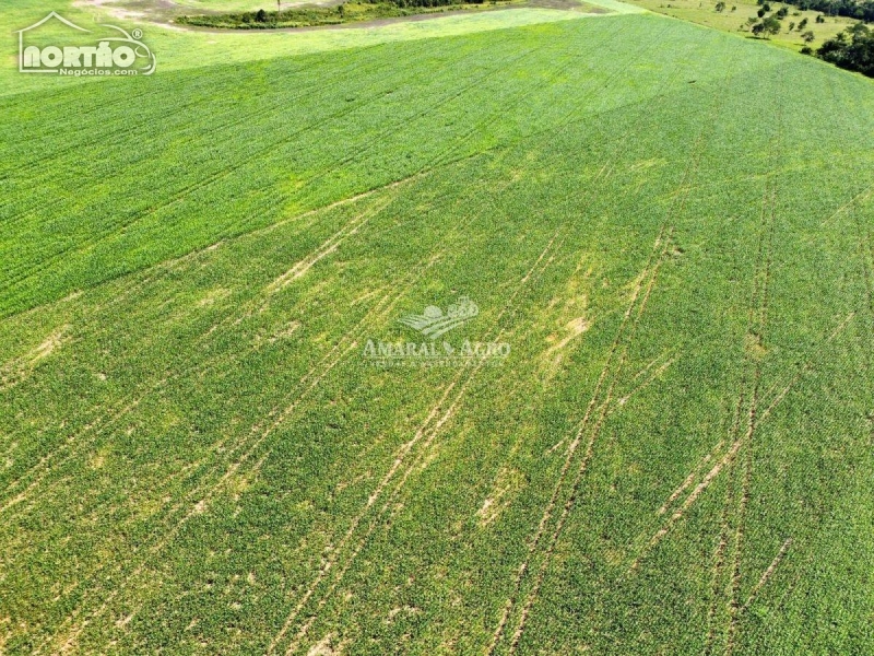 FAZENDA a venda no - em Colíder/MT