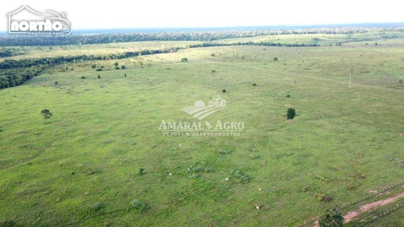 FAZENDA a venda no - em Rondolândia/MT