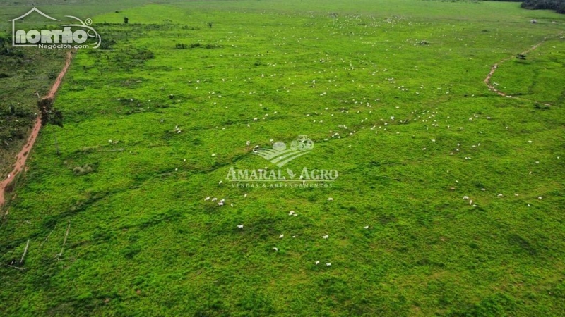 FAZENDA a venda no - em Alto Paraíso/RO