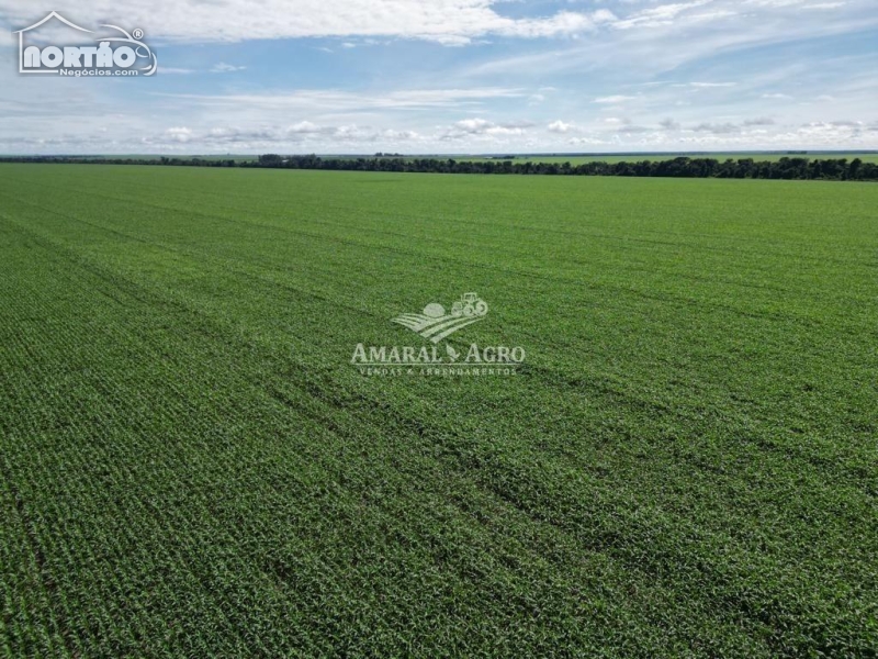 FAZENDA a venda no - em Feliz Natal/MT