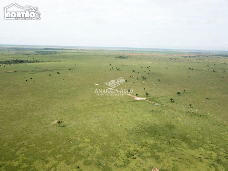 FAZENDA a venda no - em São Félix do Xingu/PA