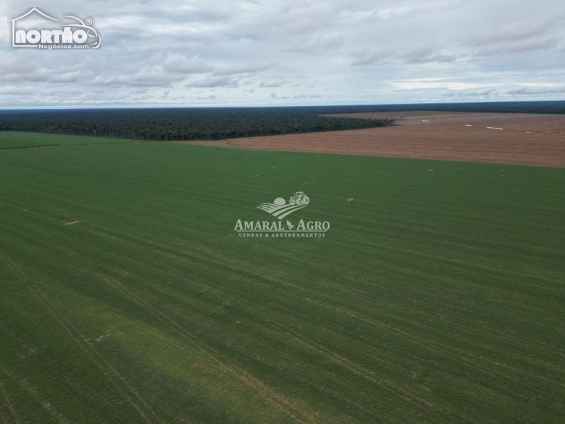 FAZENDA a venda no - em União do Sul/MT