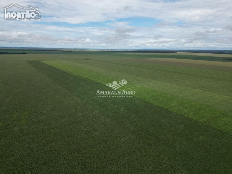 FAZENDA a venda no - em Feliz Natal/MT