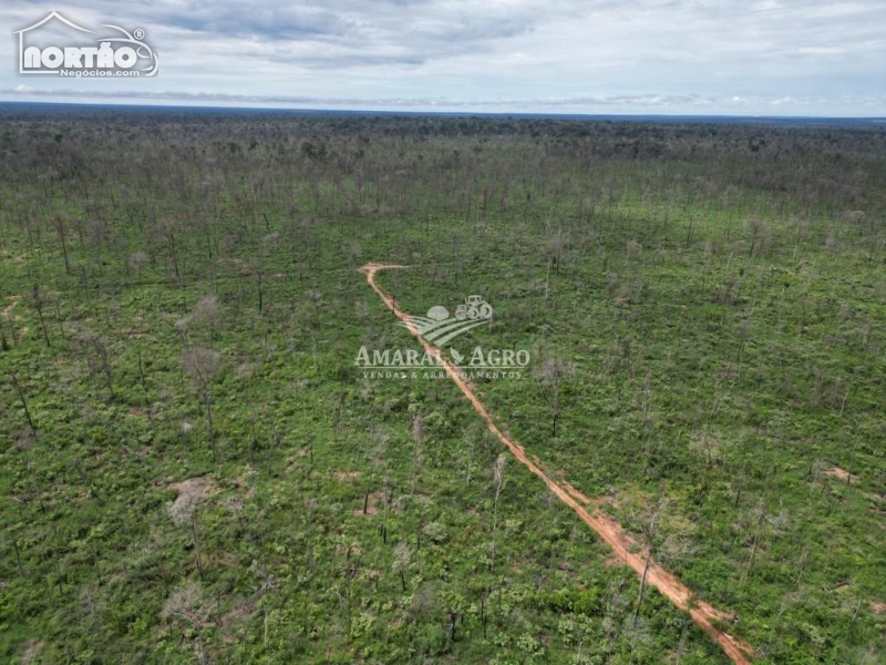 FAZENDA para locação no - em Nova Santa Helena/MT