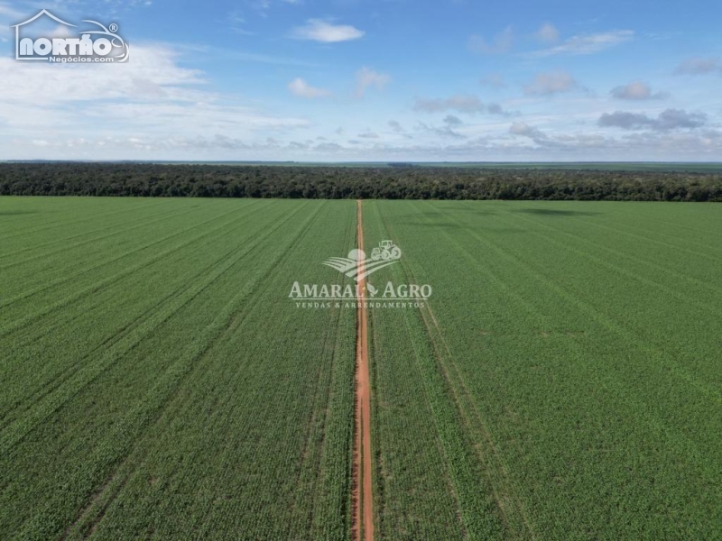 FAZENDA A VENDA NO - EM SINOP/MT