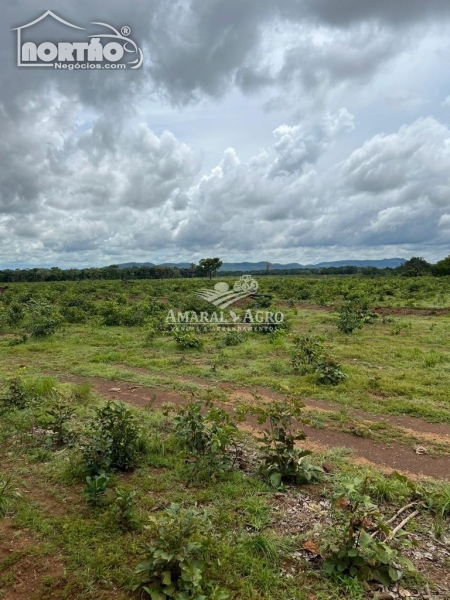 FAZENDA para locação no - em Conceição do Araguaia/PA