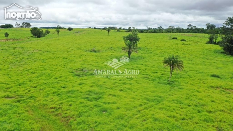 FAZENDA a venda no - em Cacoal/RO