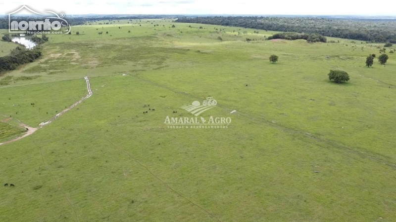 FAZENDA para locação no - em Cacoal/RO