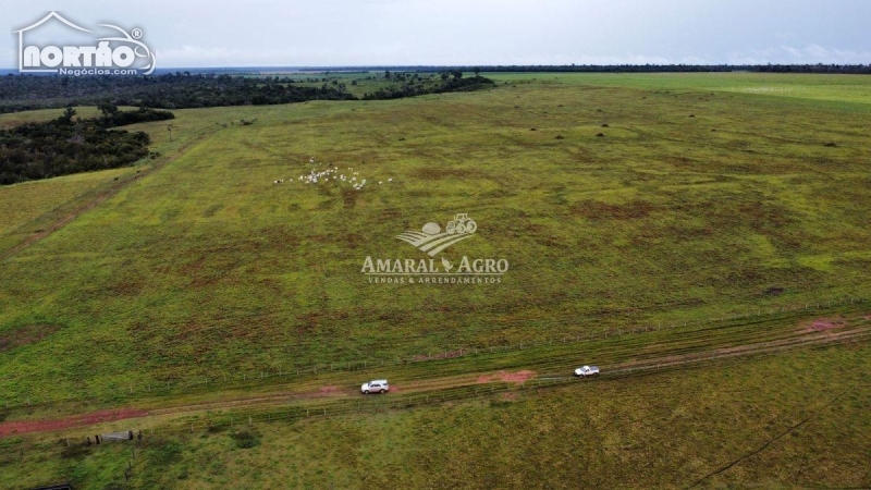 FAZENDA a venda no - em Nova Santa Helena/MT