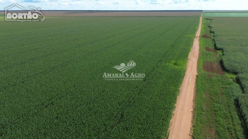 FAZENDA a venda no - em Gaúcha do Norte/MT