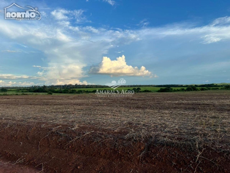 FAZENDA a venda no - em Porto Velho/RO