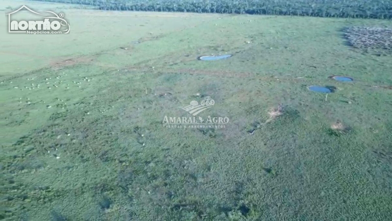 FAZENDA A VENDA NO - EM SÃO FRANCISCO DO GUAPORÉ/RO