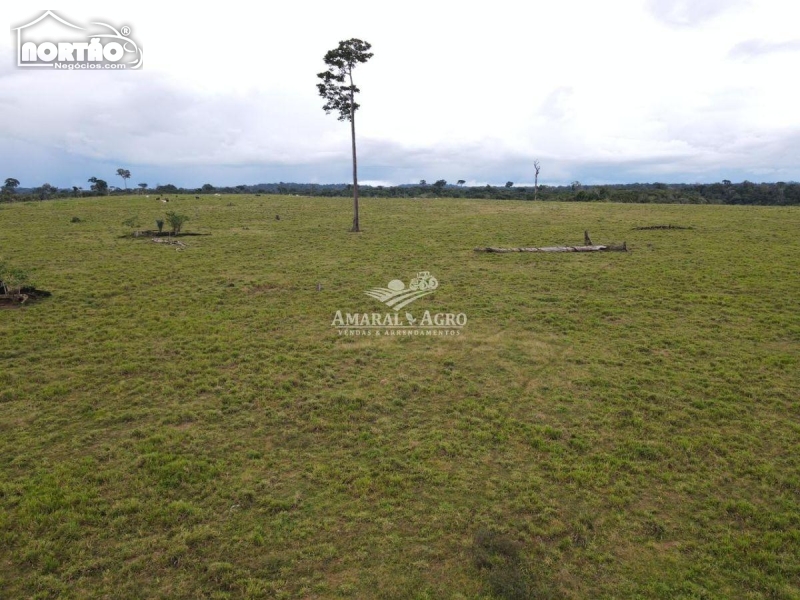 FAZENDA a venda no - em Porto Velho/RO