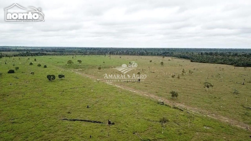 FAZENDA a venda no - em Porto Velho/RO