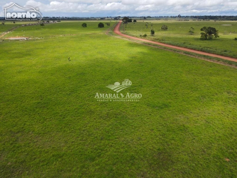 FAZENDA a venda no - em Rio Branco/AC