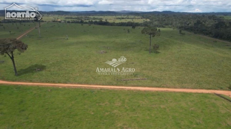 FAZENDA a venda no - em Alta Floresta/MT