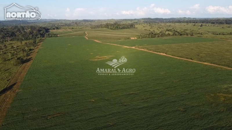 FAZENDA a venda no - em Vale do Anari/RO