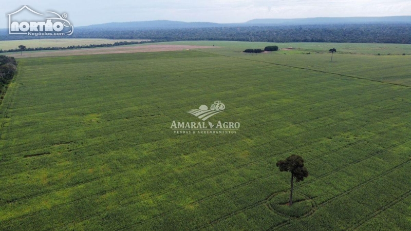 FAZENDA a venda no - em Corumbiara/RO