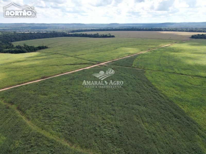 FAZENDA para locação no - em Nova Canaã do Norte/MT