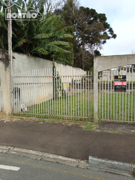 TERRENO A VENDA NO VILA IPANEMA EM PIRAQUARA/PR