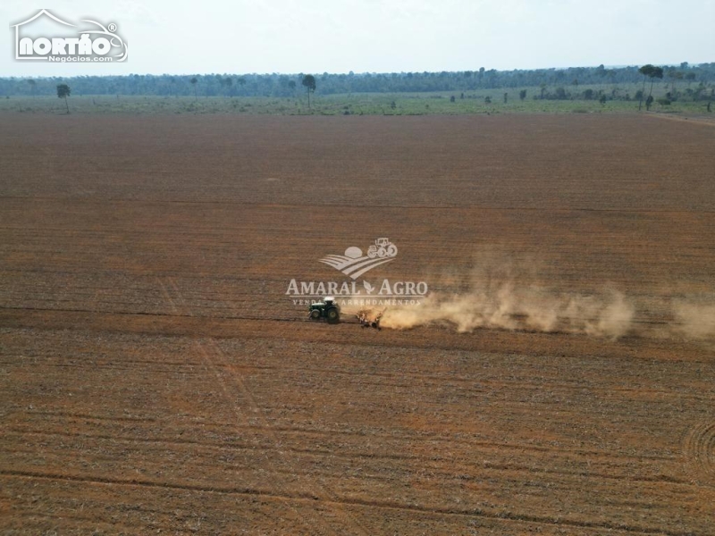 FAZENDA a venda no - em Alta Floresta/MT