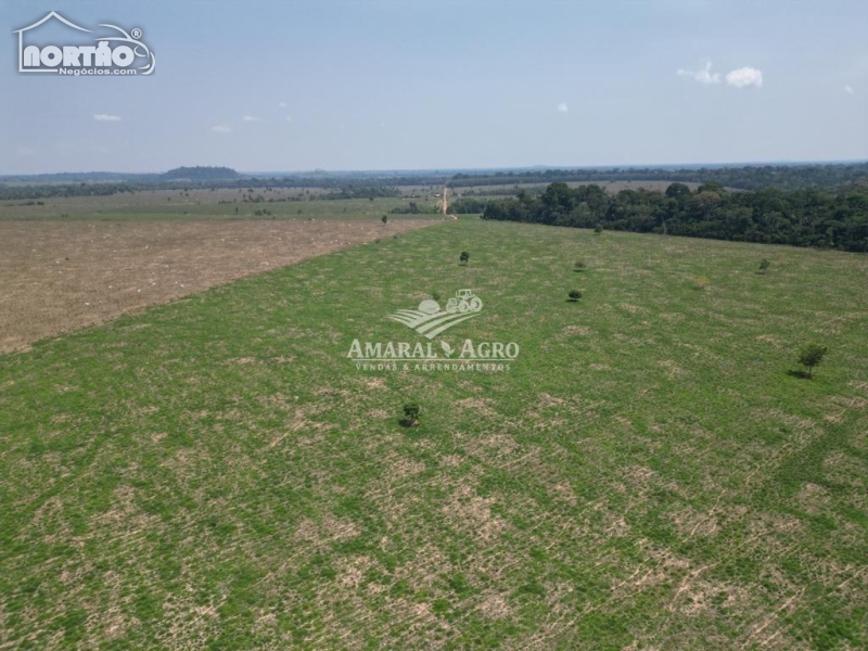 FAZENDA a venda no - em Nova Bandeirantes/MT