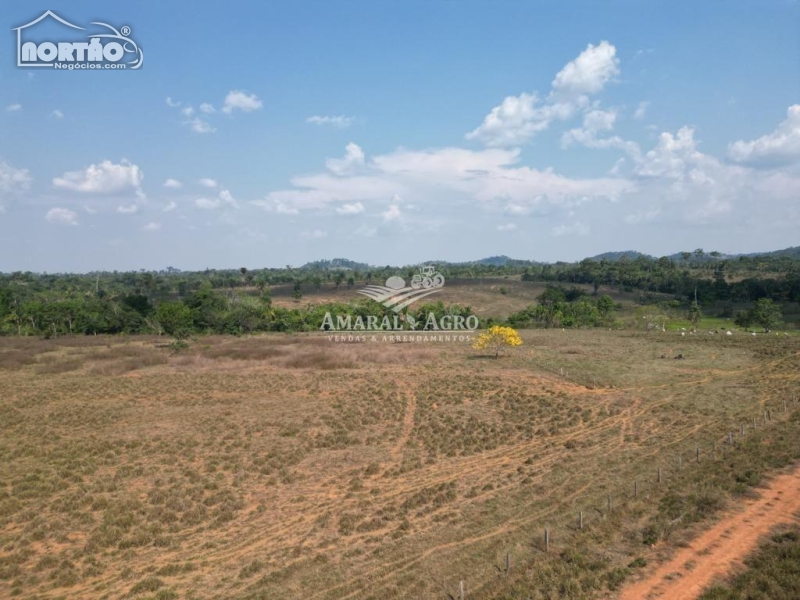 FAZENDA a venda no - em Cotriguaçu/MT