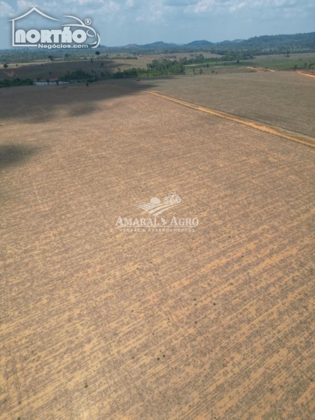 FAZENDA para locação no - em Cotriguaçu/MT