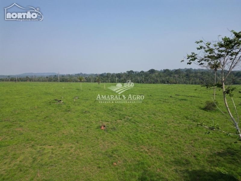 FAZENDA a venda no - em Apiacás/MT