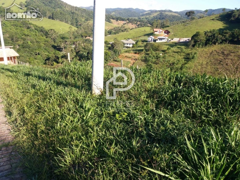 TERRENO A VENDA NO BARREIRINHO EM SANTO ANTÔNIO DO PINHAL/SP