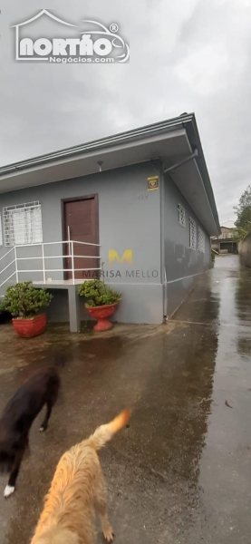 Casa para locação no VILA MACEDO em Piraquara/PR