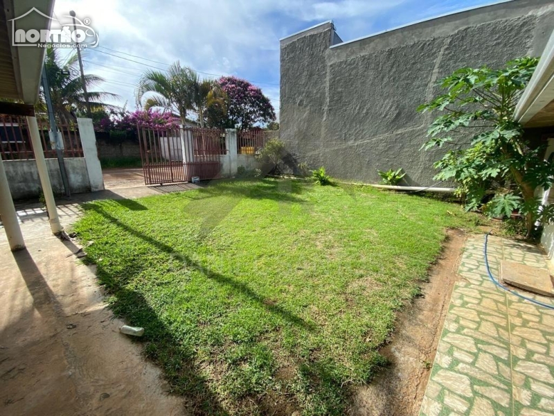 Casa à venda com 5 quartos, 60m² - Foto 3